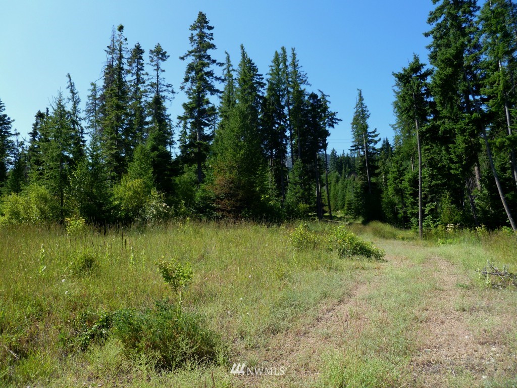 0 Stone Ridge Drive Cle Elum, WA 98922 - Photo 6 of 14 Gallery Image 6