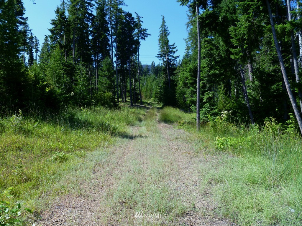 0 Stone Ridge Drive Cle Elum, WA 98922 - Photo 7 of 14 Gallery Image 7