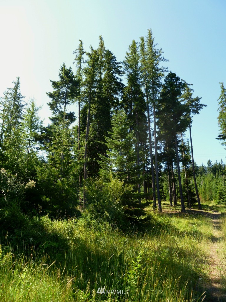 0 Stone Ridge Drive Cle Elum, WA 98922 - Photo 9 of 14 Gallery Image 9