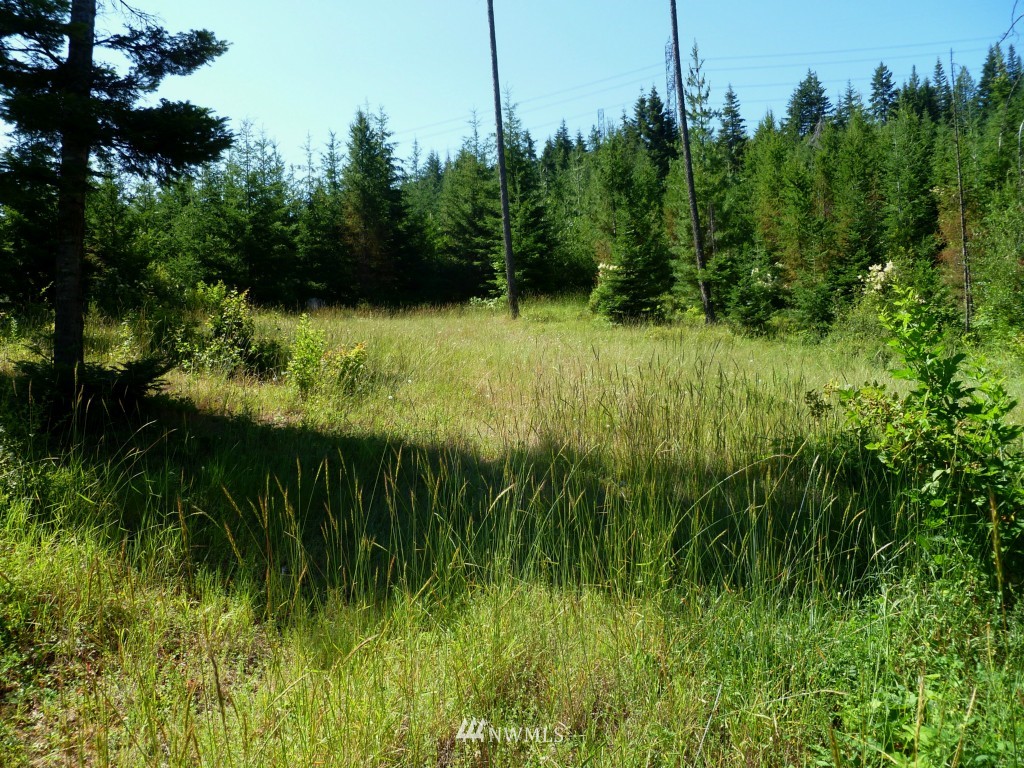 0 Stone Ridge Drive Cle Elum, WA 98922 - Photo 10 of 14 Gallery Image 10