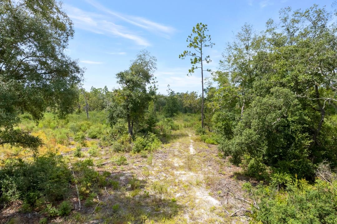 2029 Dennis Howell Road Perry, FL 32348 - Photo 2 of 12 Gallery Image 2