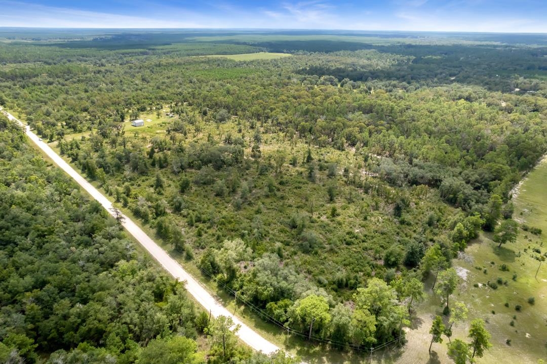 2029 Dennis Howell Road Perry, FL 32348 - Photo 8 of 12 Gallery Image 8