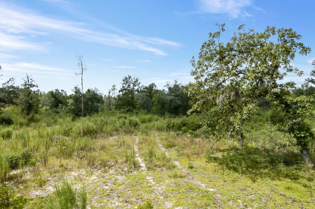 2029 Dennis Howell Road Perry, FL 32348 - Photo 10 of 12 Gallery Image 10