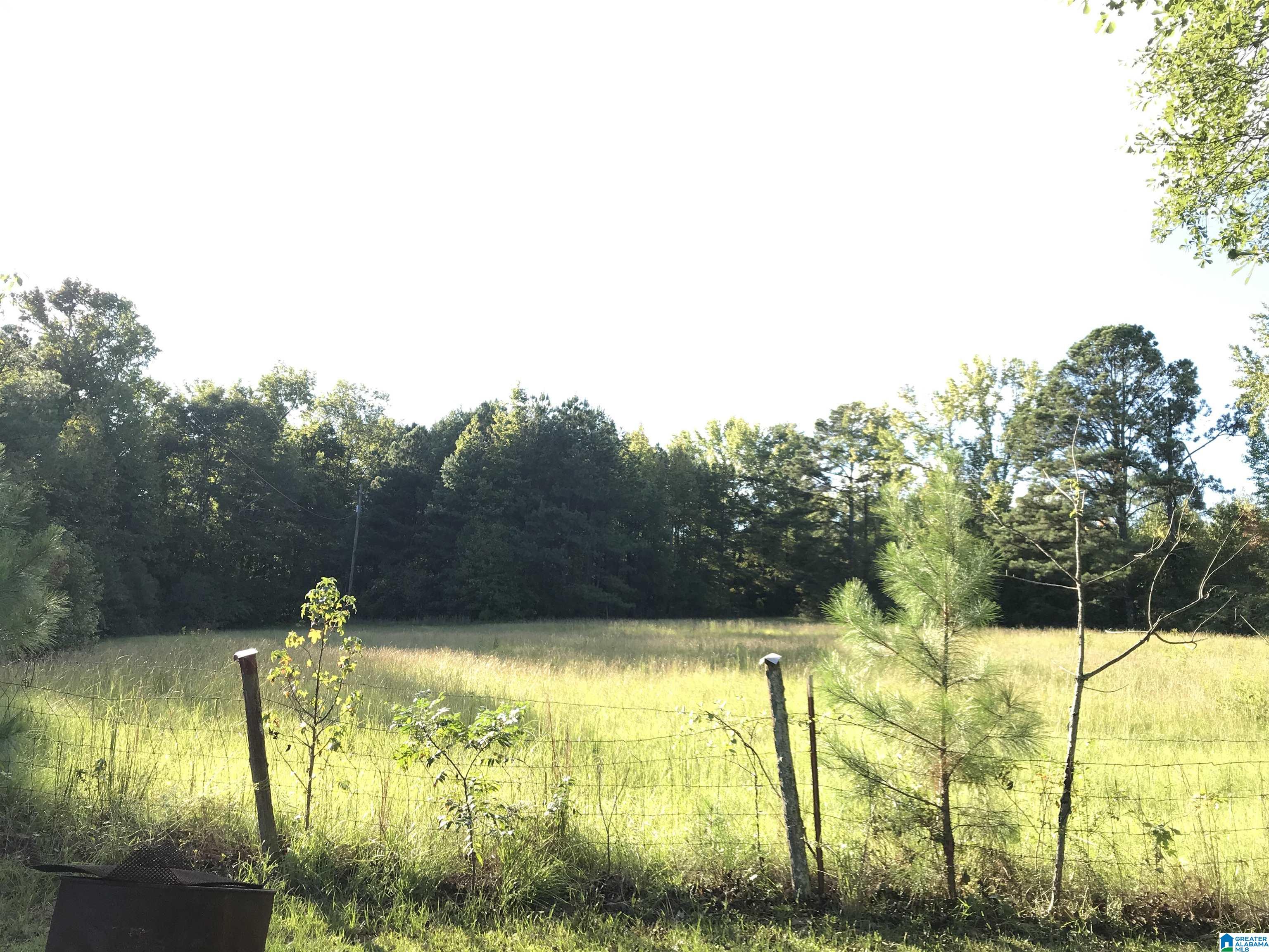 175 Boren Road Warrior, AL 35180 - Photo 11 of 19