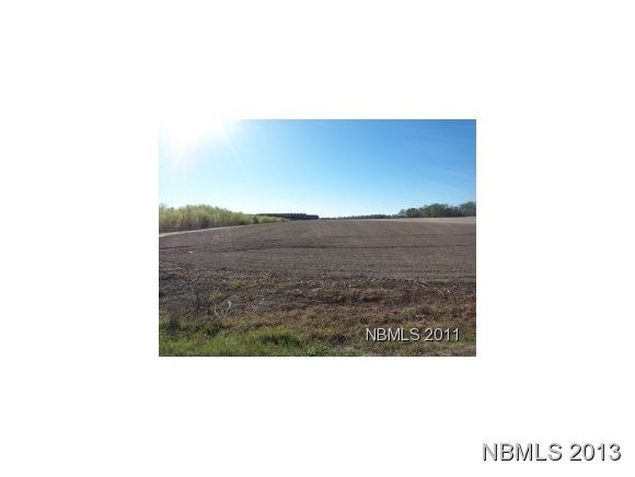 4893 Wyse Fork Road Kinston, NC 28501 - Photo 1 of 1 Primary Photo