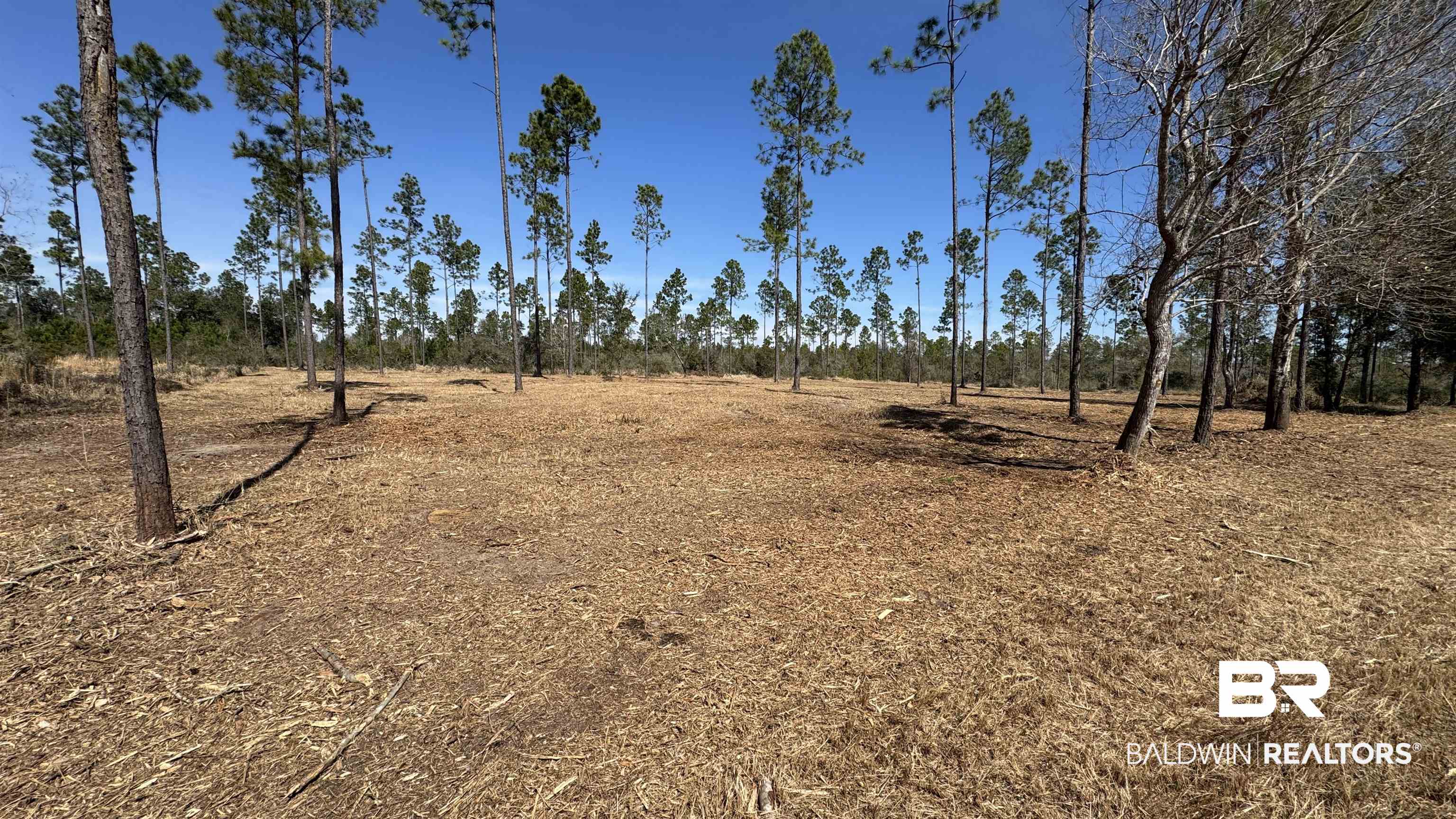 0 Archie Road Elberta, AL 36530 - Photo 9 of 16 View of nature