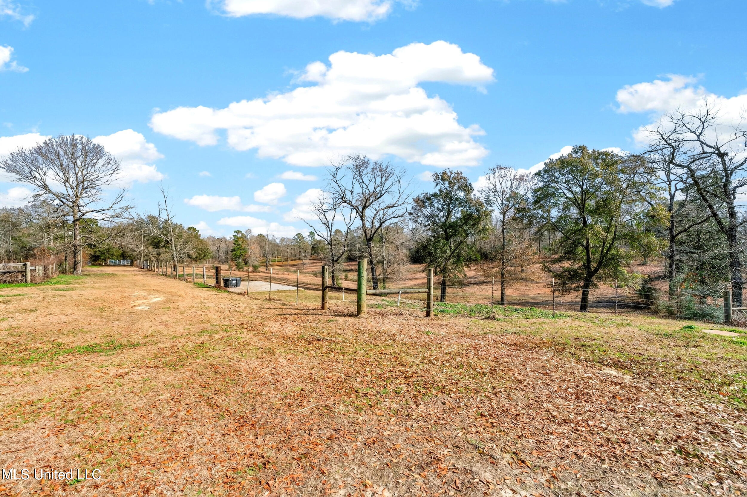 14 Elmer Smith Road Lumberton, MS 39455 - Photo 67 of 71 67_a7403586
