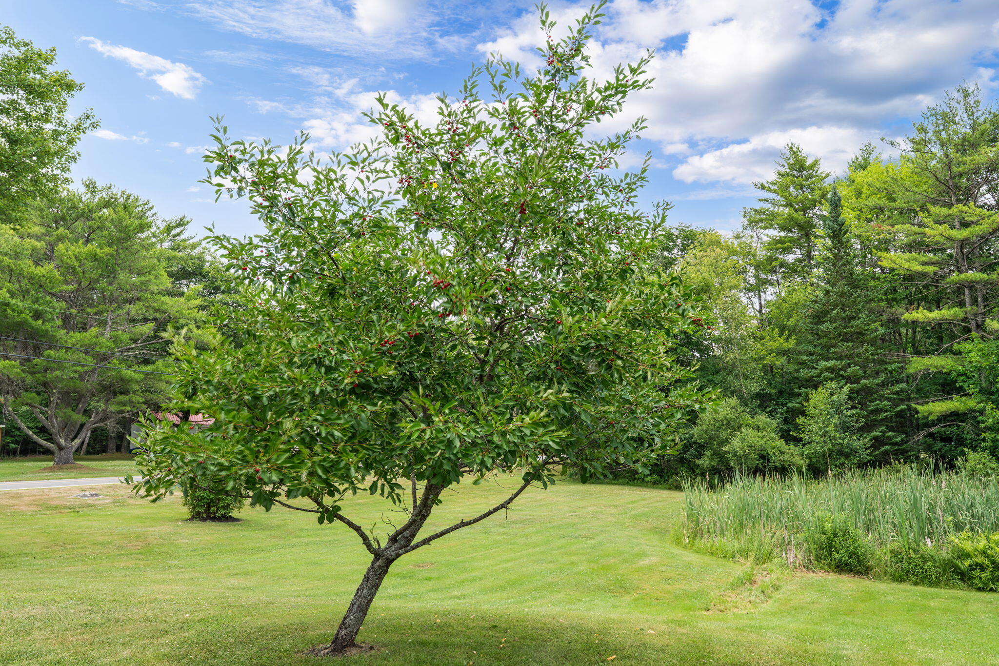 718 Marston Road Gardiner, ME 04345 - Photo 42 of 47 21-web-or-mls-718-marston-rd