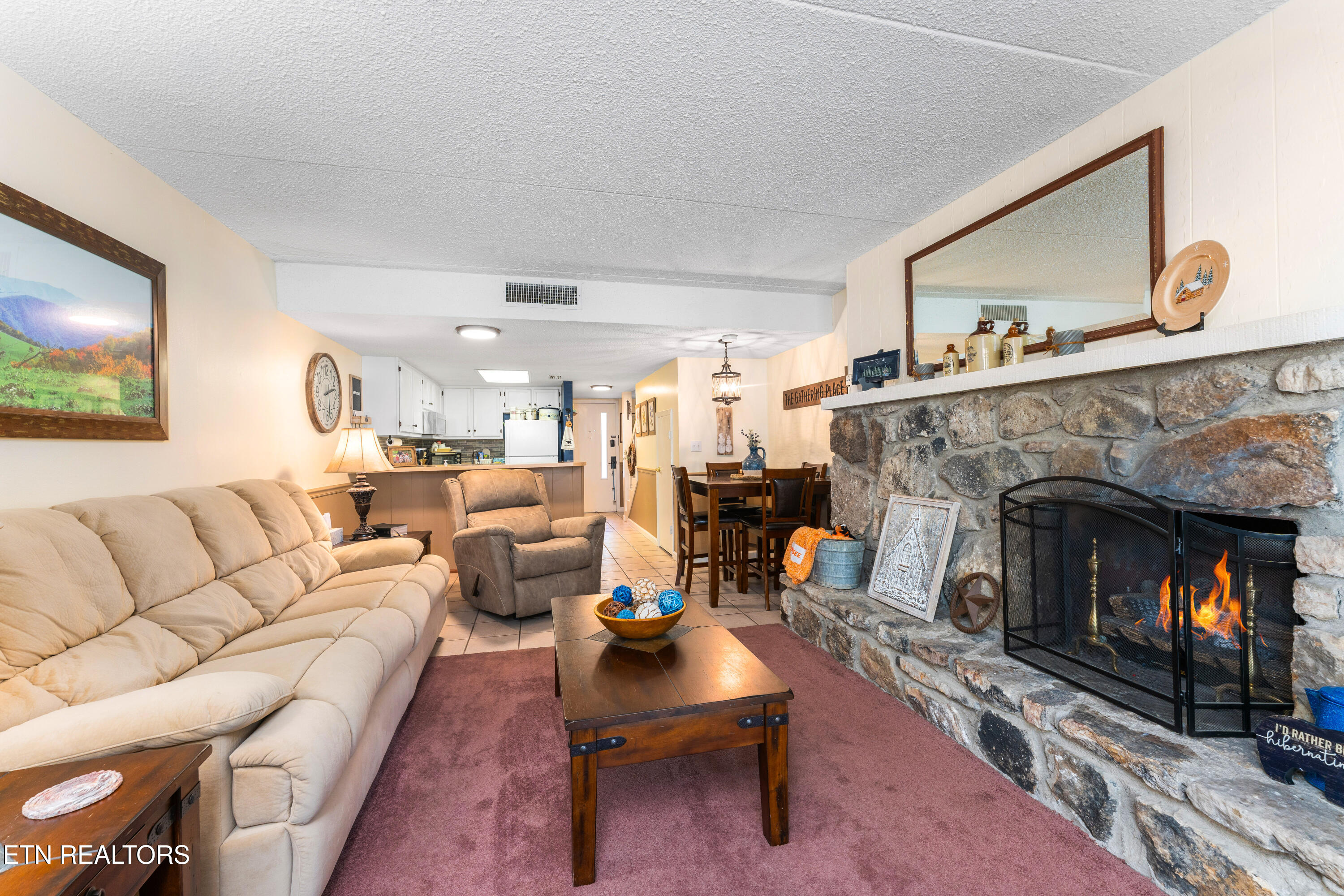 260 Roaring Fork Road, Unit 220 Gatlinburg, TN 37738 - Photo 4 of 22 _DSC7594