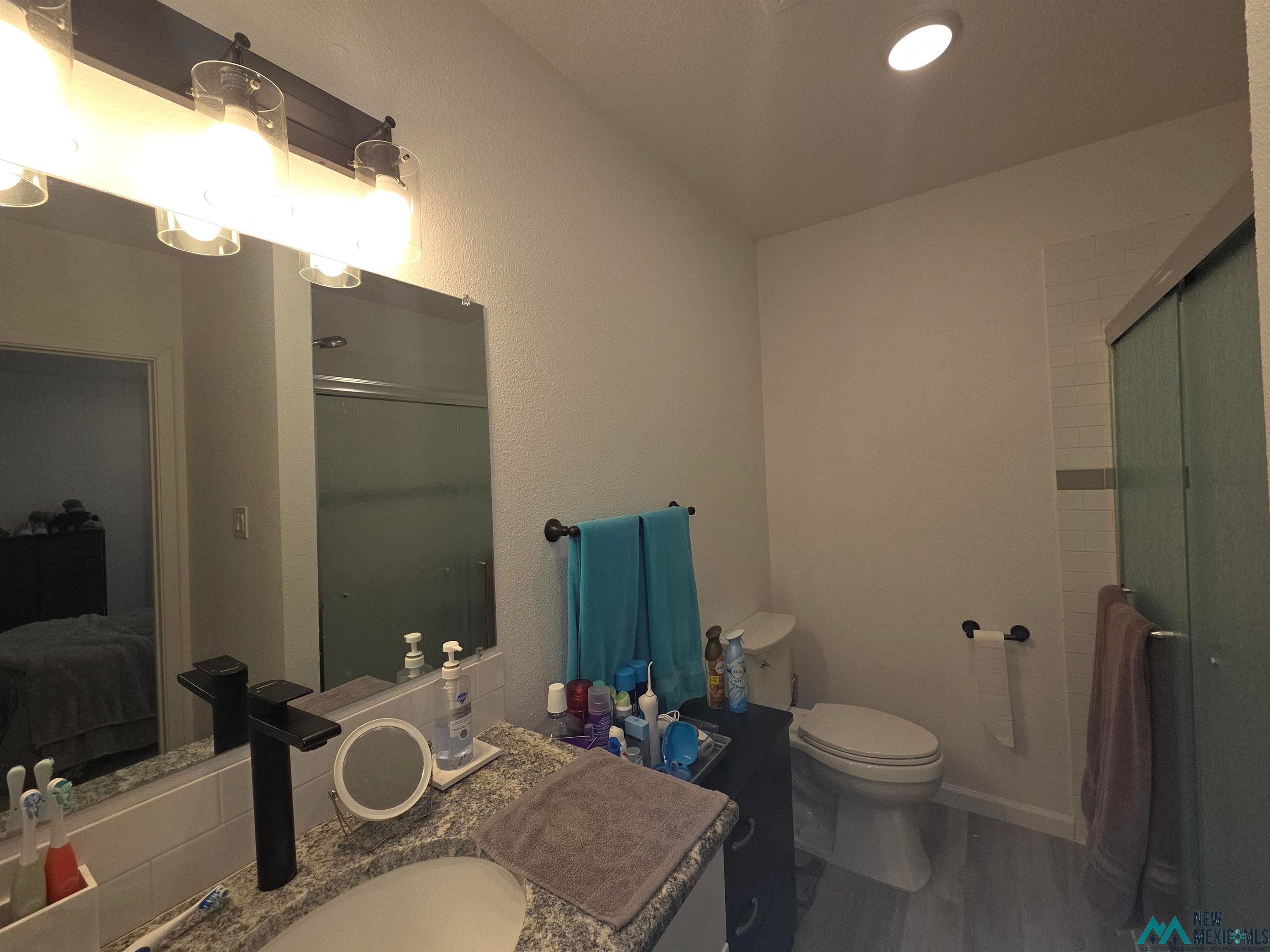 407 Bass Road Elephant Butte, NM 87935 - Photo 42 of 54 Bathroom featuring a shower stall, vanity, dark wood-style flooring, and connected bathroom
