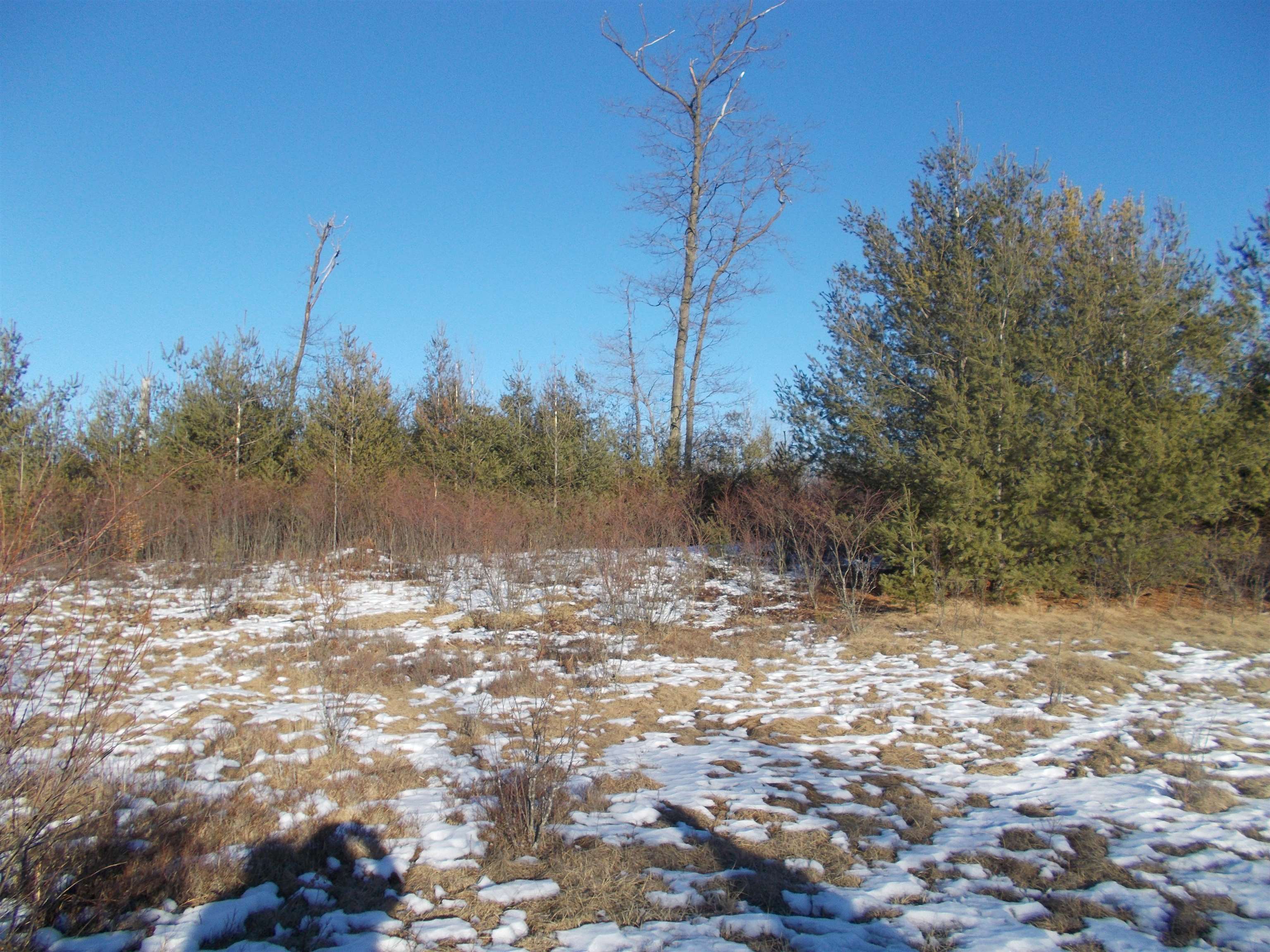 0 East County Line Road Whittemore, MI 48770 - Photo 8 of 22