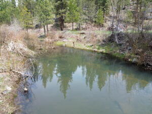 0 Roney Flat Road Lookout, CA 96054 - Photo 11 of 26 Johnson Creek