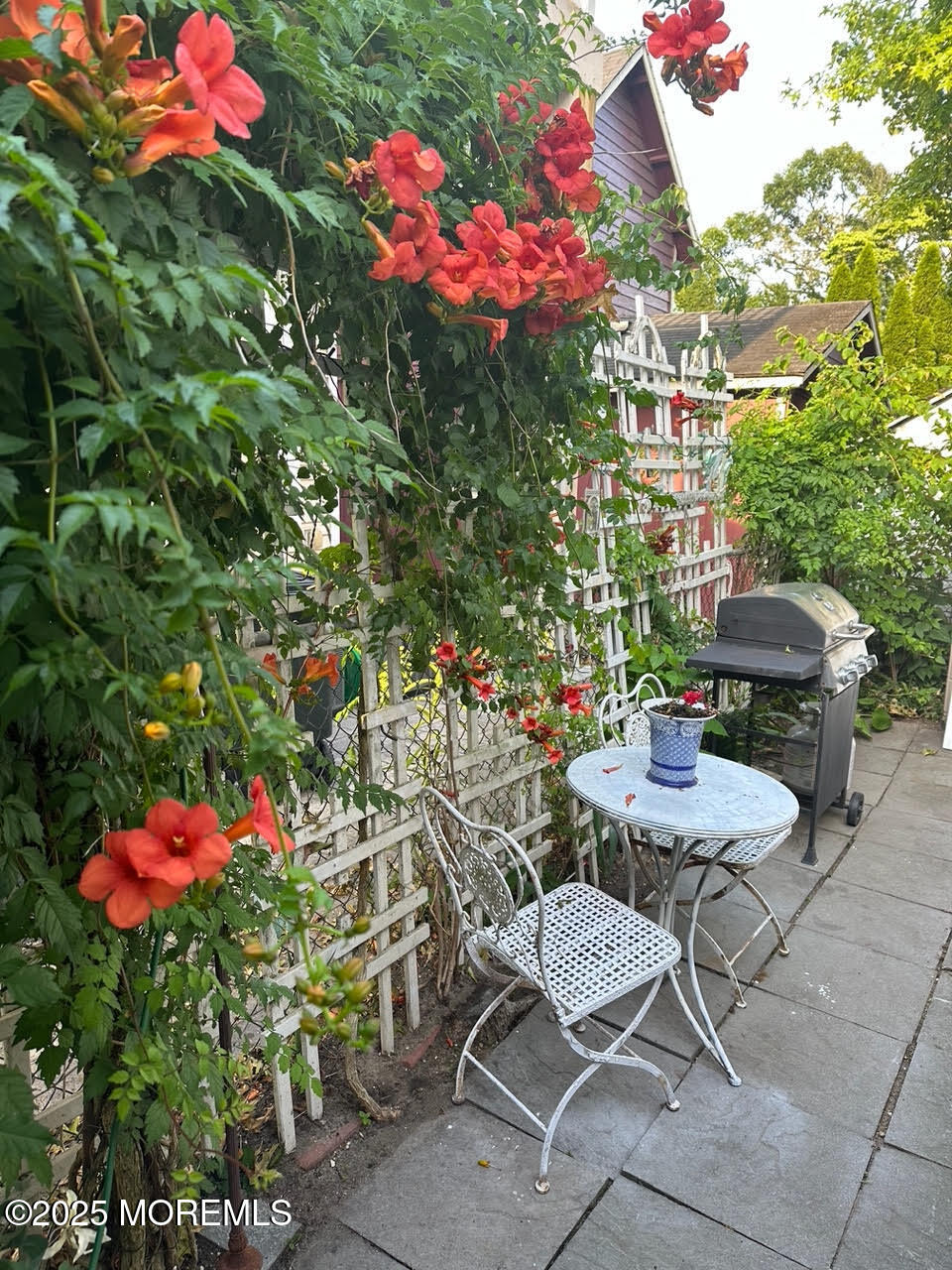 69 Cookman Avenue Ocean Grove, NJ 07756 - Photo 17 of 25 unnamed-5