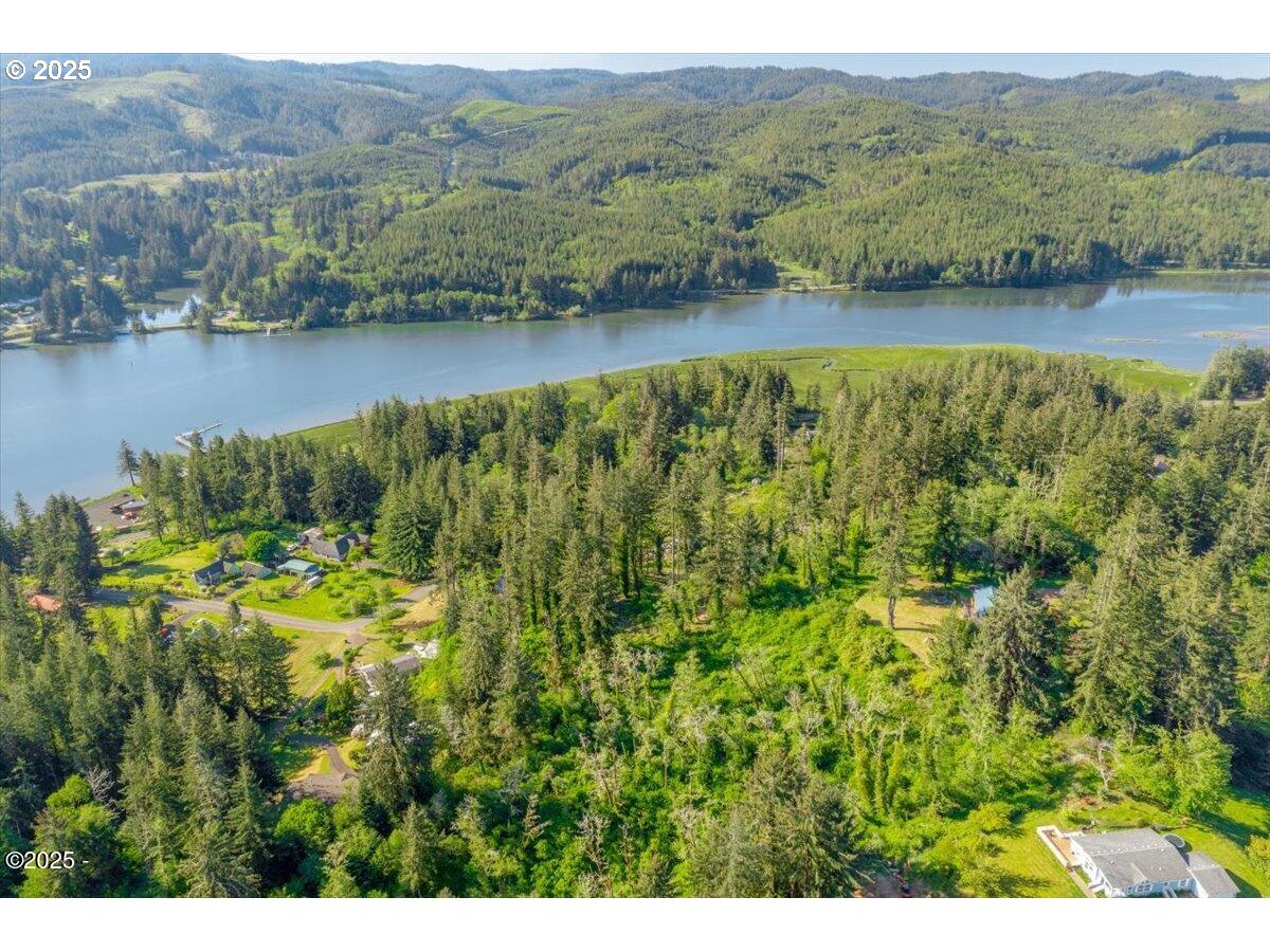 1600 Criteser Loop Toledo, OR 97391 - Photo 12 of 12 a view of a lake with a mountain