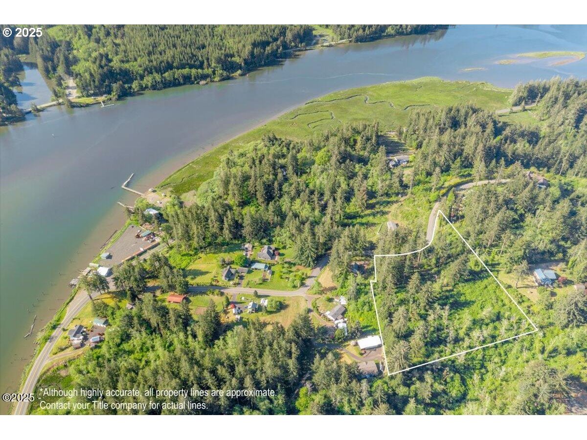 1600 Criteser Loop Toledo, OR 97391 - Photo 2 of 12 a view of a lake with a yard