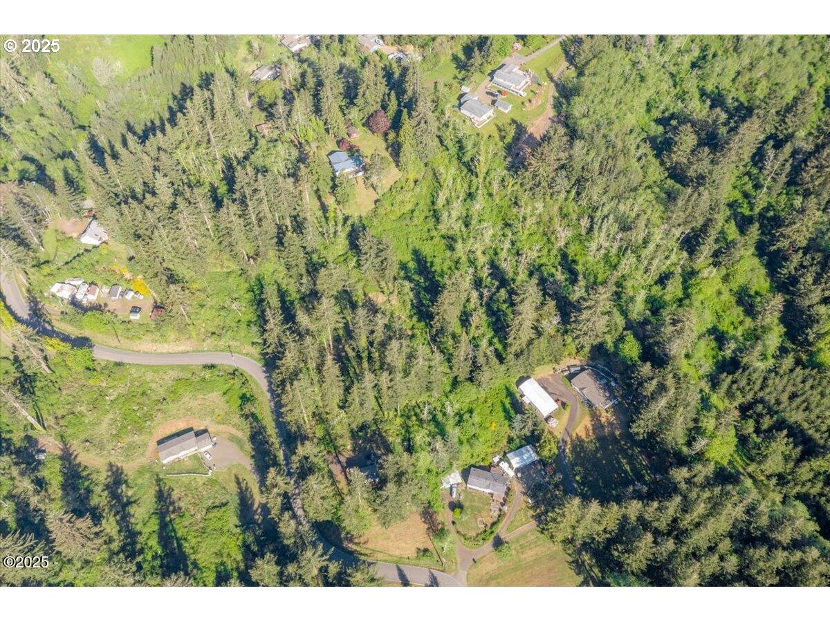 1600 Criteser Loop Toledo, OR 97391 - Photo 4 of 12