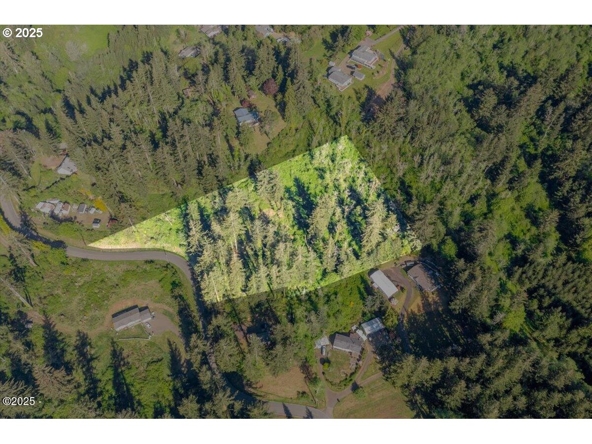 1600 Criteser Loop Toledo, OR 97391 - Photo 5 of 12 a view of a forest