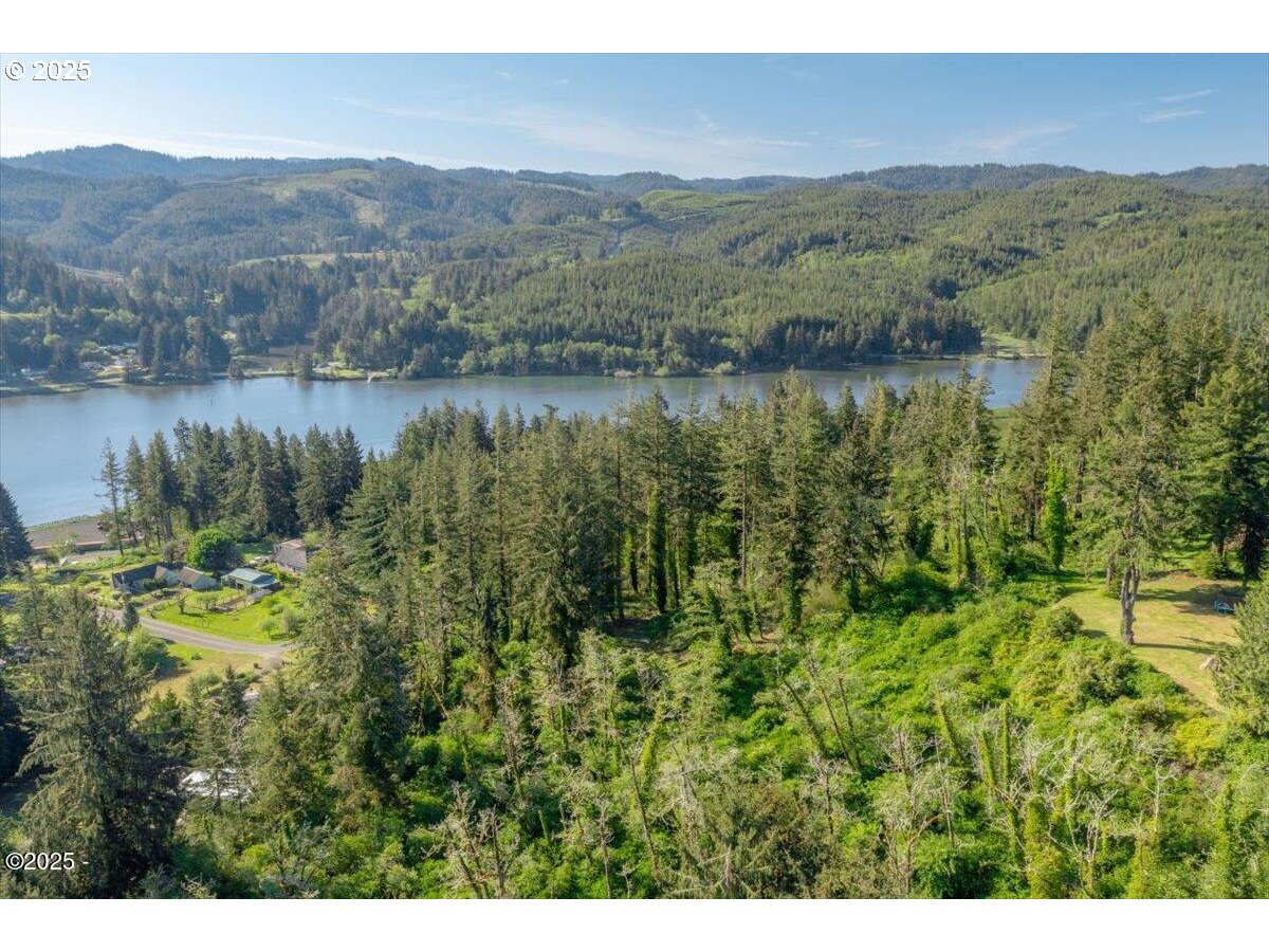 1600 Criteser Loop Toledo, OR 97391 - Photo 6 of 12 a view of a lake with a mountain
