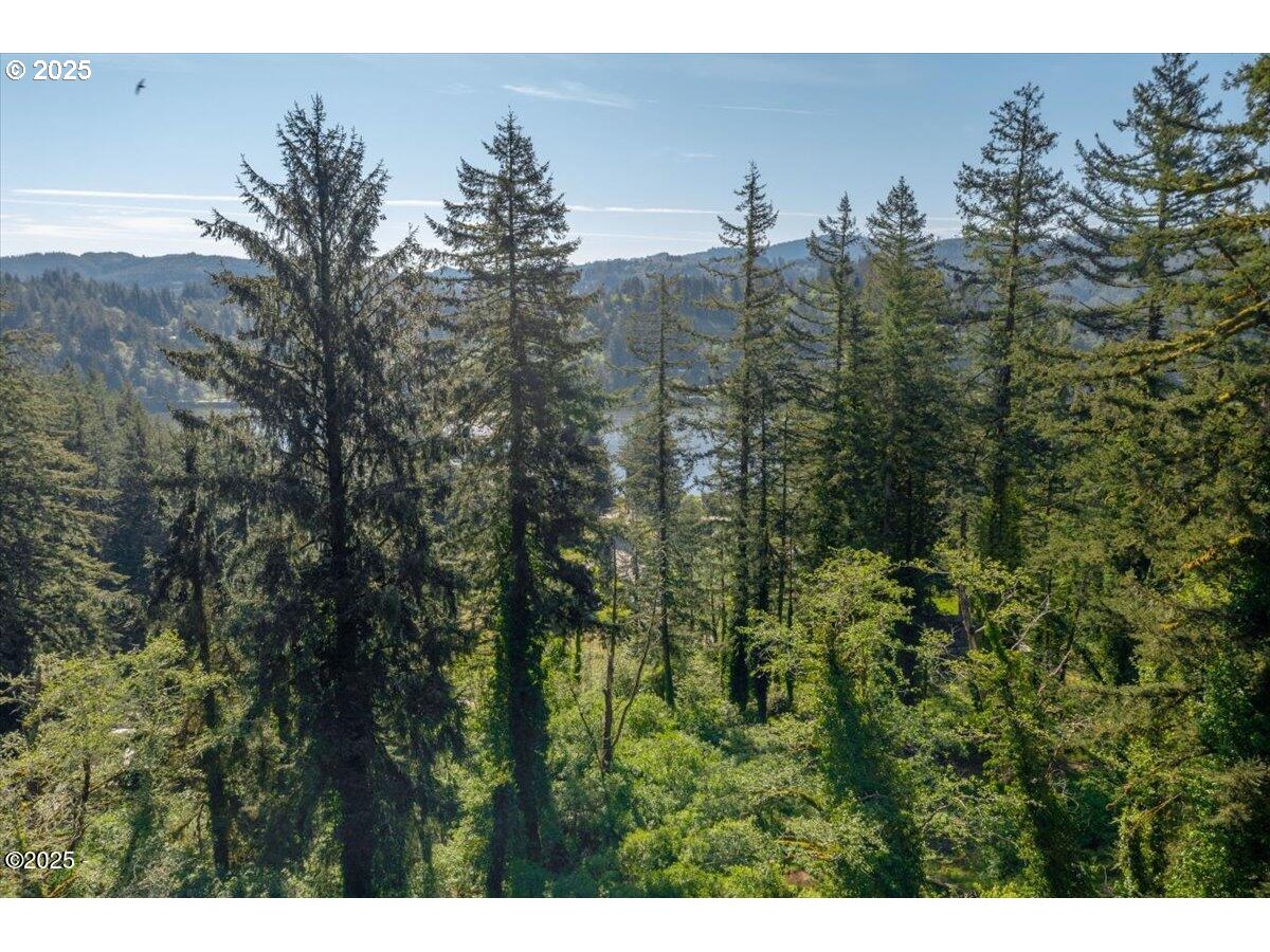 1600 Criteser Loop Toledo, OR 97391 - Photo 8 of 12 a view of a forest with a houses