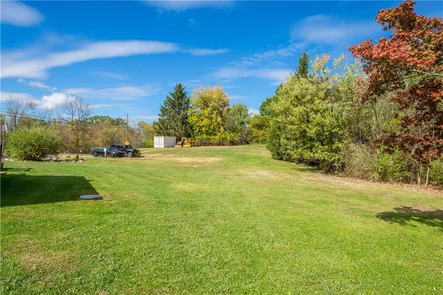 a view of a field with grass and trees
