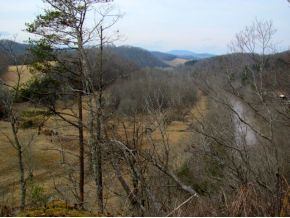 Tbd Dug Knob Road Abingdon, VA 24211 - Photo 12 of 24 Photo 12