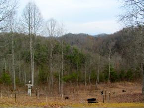 Tbd Dug Knob Road Abingdon, VA 24211 - Photo 4 of 24 Photo 4