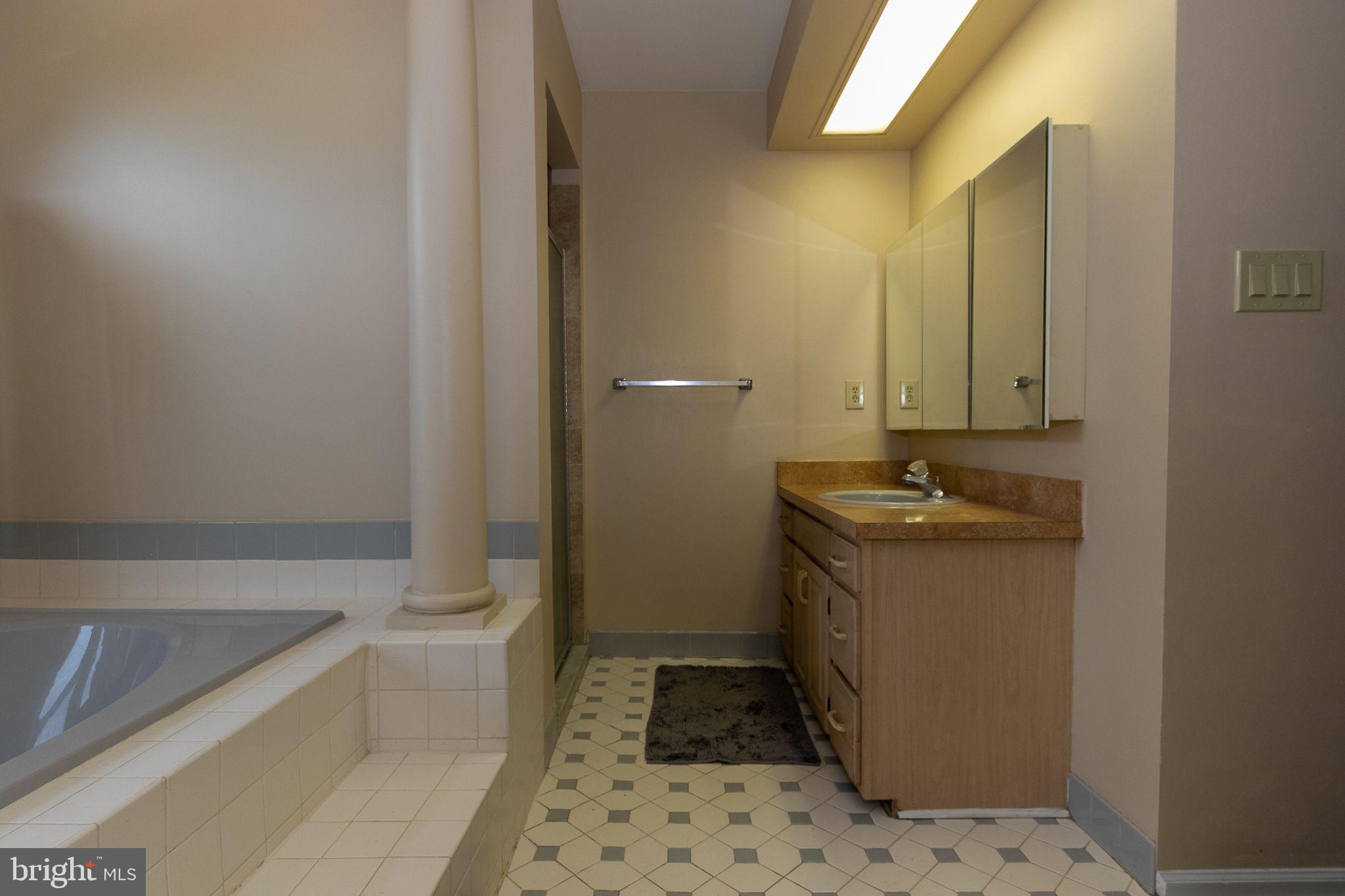 19 Pavilion Road Voorhees, NJ 08043 - Photo 24 of 36 Master bathroom