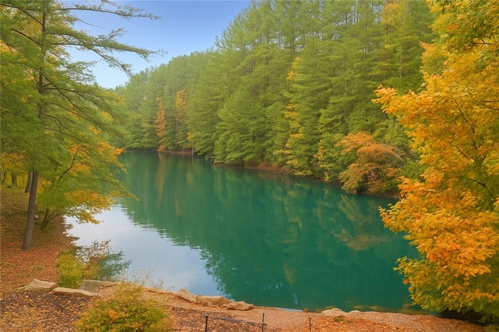 86 Back Trail Cleveland, GA 30528 - Photo 2 of 53 a view of a lake from a yard
