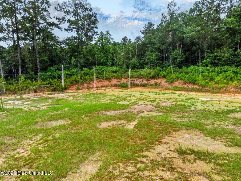 94 Desoto Road McHenry, MS 39561 - Photo 33 of 37 94DesotoRd.S-33