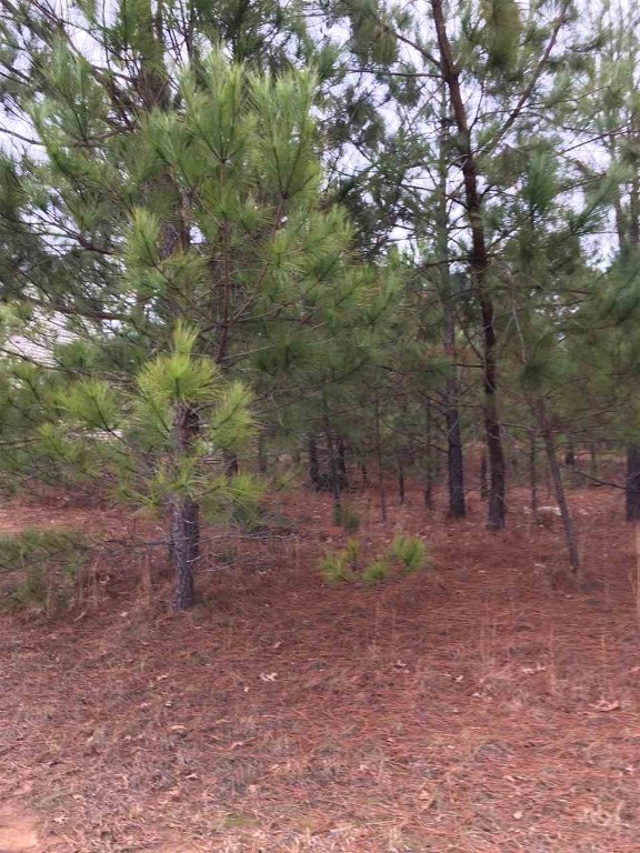 115 Hawk Ridge Drive, Unit LOT 61 Anderson, SC 29621 - Photo 3 of 5