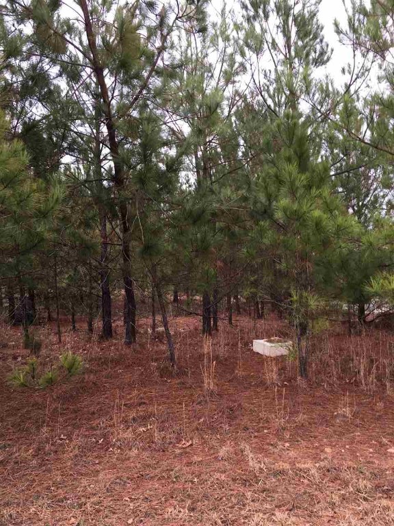 115 Hawk Ridge Drive, Unit LOT 61 Anderson, SC 29621 - Photo 4 of 5