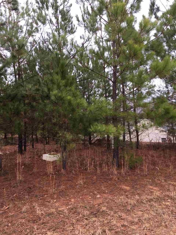 115 Hawk Ridge Drive, Unit LOT 61 Anderson, SC 29621 - Photo 5 of 5