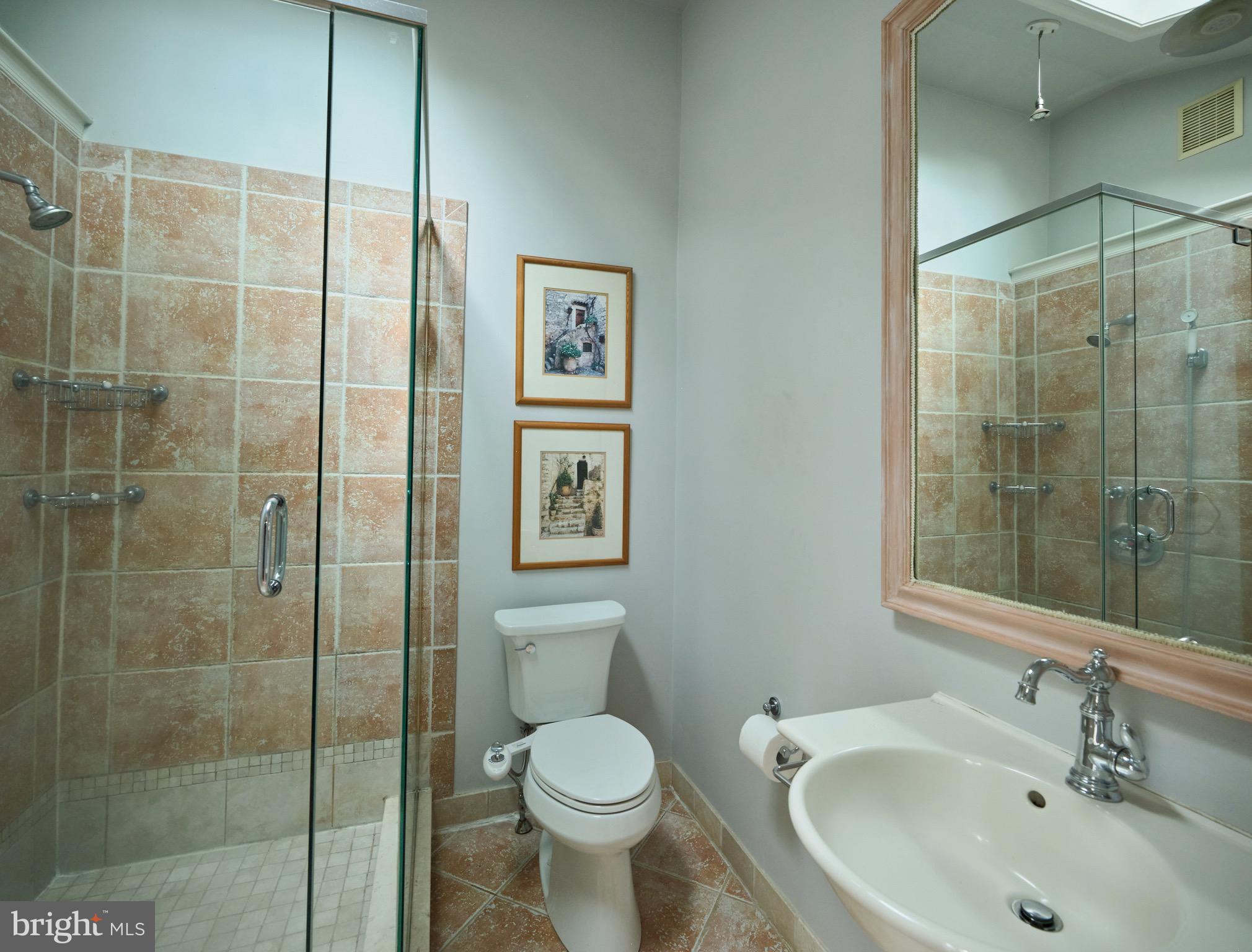 2135 South Sugan Road New Hope, PA 18938 - Photo 30 of 46 Primary bathroom two with skylight