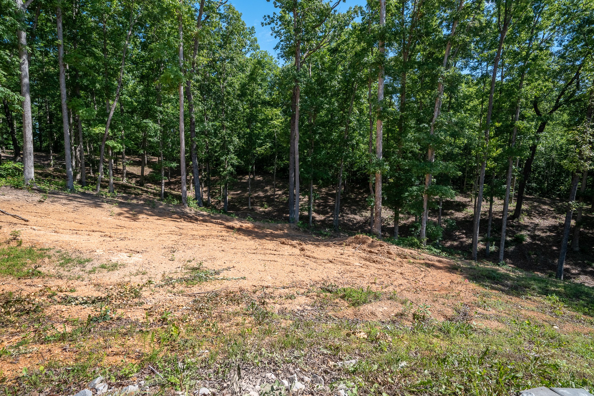 1239 Cherokee Road Waynesboro, TN 38485 - Photo 9 of 36