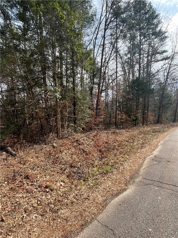 Lot 20 Wilbanks Road Seneca, SC 29678 - Photo 2 of 12 Gallery Image 2