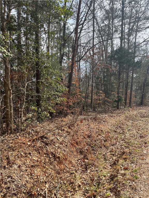 Lot 20 Wilbanks Road Seneca, SC 29678 - Photo 3 of 12 Gallery Image 3