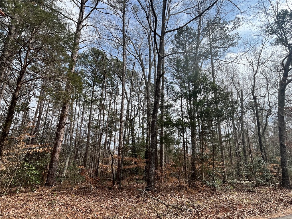 Lot 20 Wilbanks Road Seneca, SC 29678 - Photo 4 of 12 Gallery Image 4
