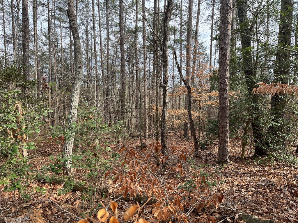 Lot 20 Wilbanks Road Seneca, SC 29678 - Photo 6 of 12 Gallery Image 6