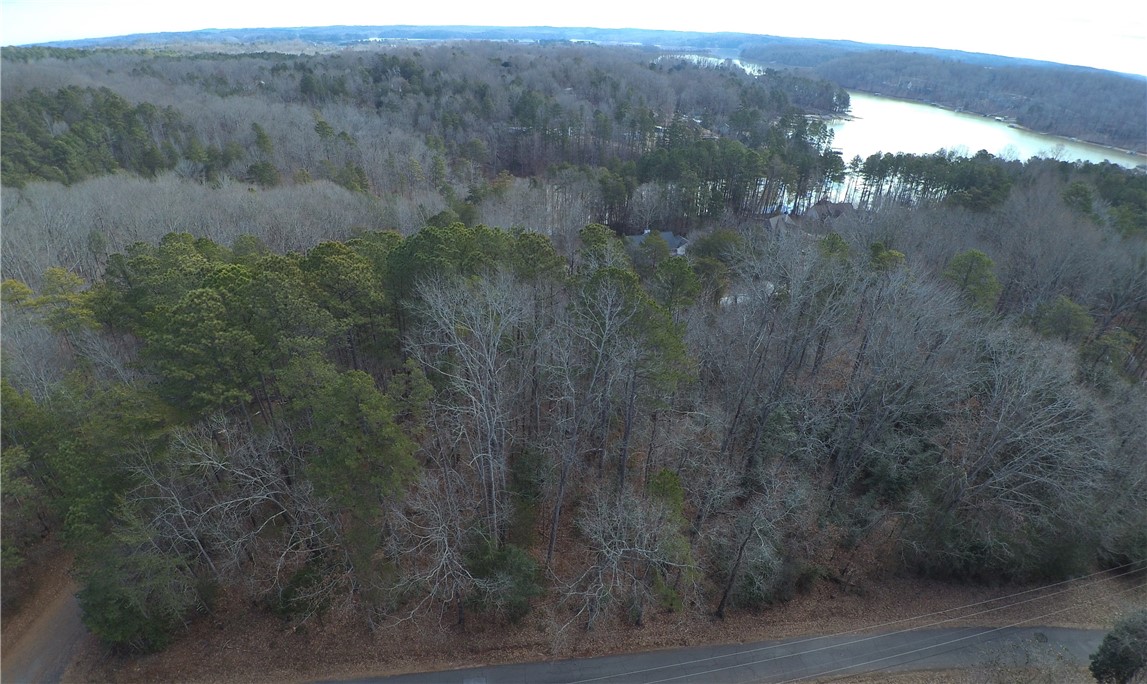 Lot 20 Wilbanks Road Seneca, SC 29678 - Photo 10 of 12 Gallery Image 10