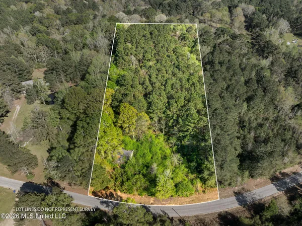 $30,000 | 3-acres Will Barber Road, Pinola, MS 39149