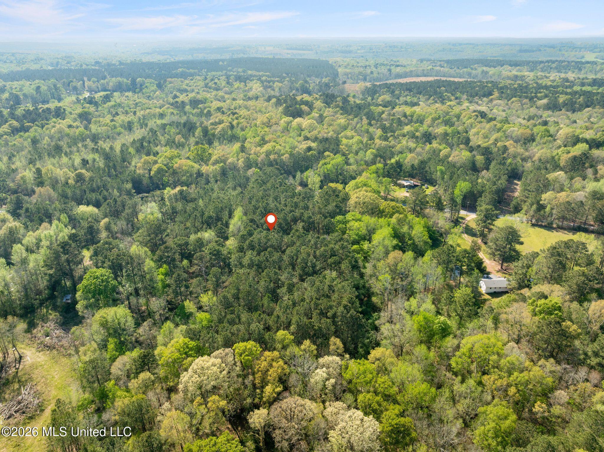 3-acres Will Barber Road Pinola, MS 39149 - Photo 11 of 14 mls_245_Will_Barber_Rd-11