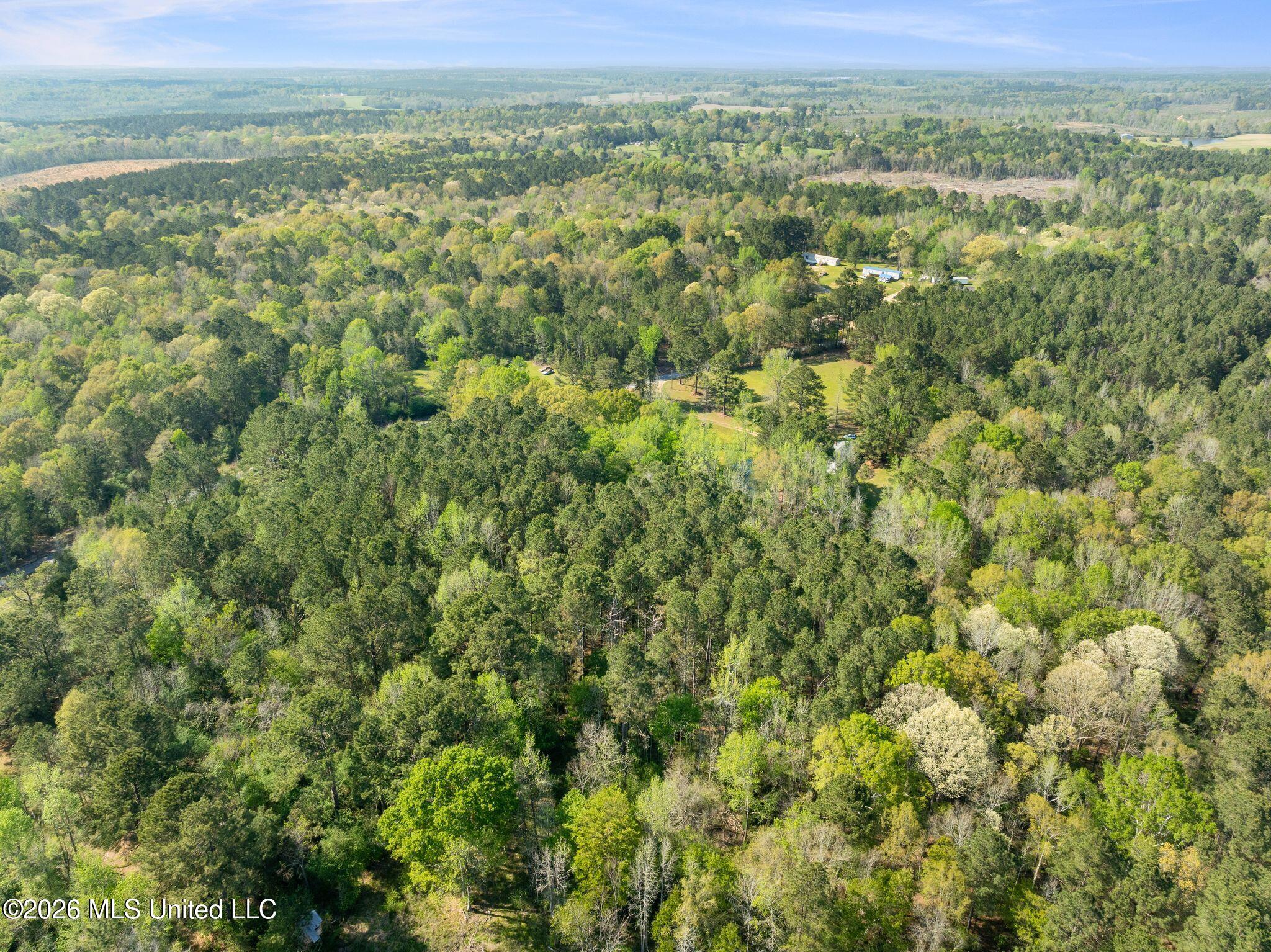 3-acres Will Barber Road Pinola, MS 39149 - Photo 12 of 14 mls_245_Will_Barber_Rd-12