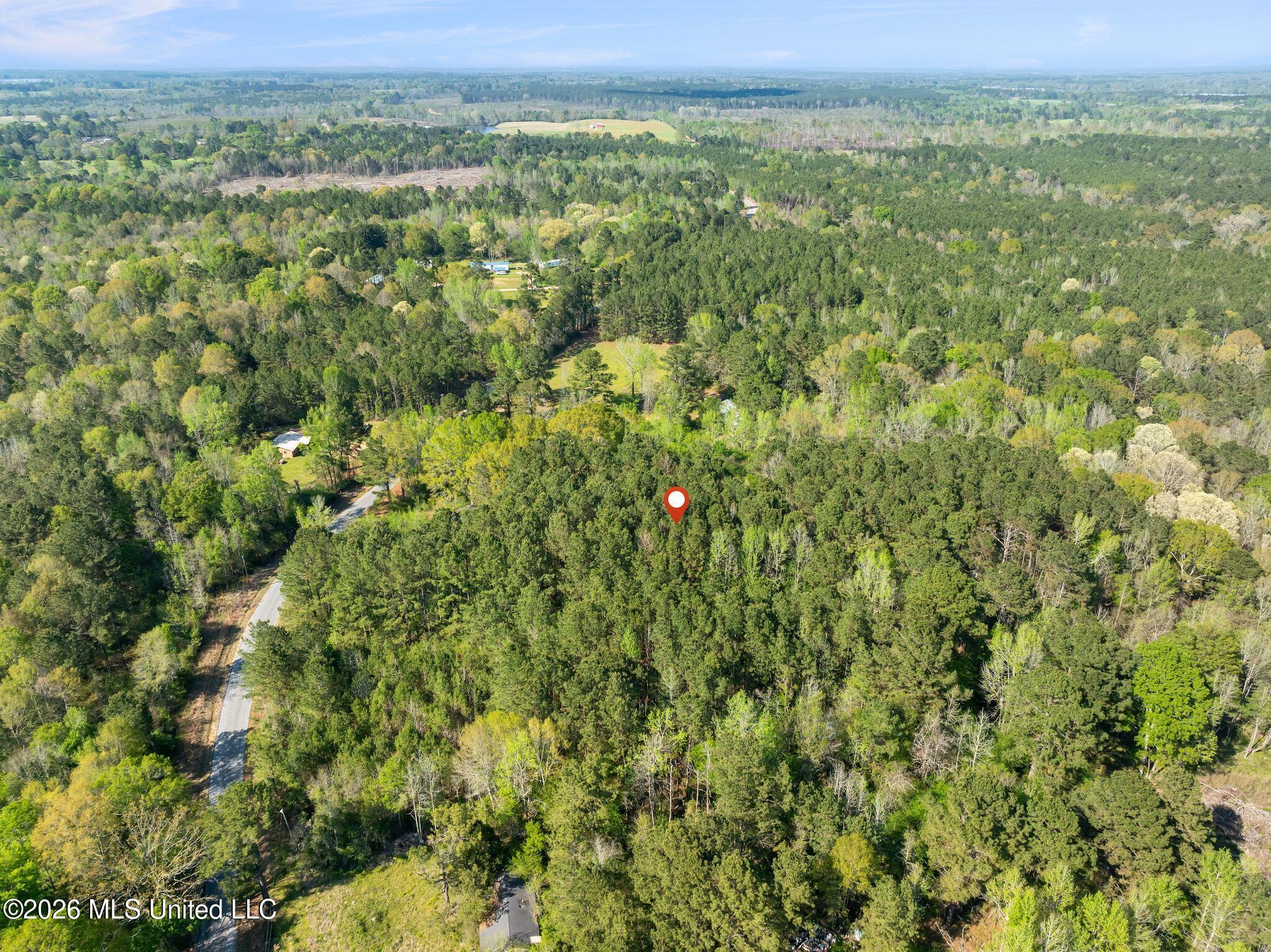 3-acres Will Barber Road Pinola, MS 39149 - Photo 13 of 14 mls_245_Will_Barber_Rd-13
