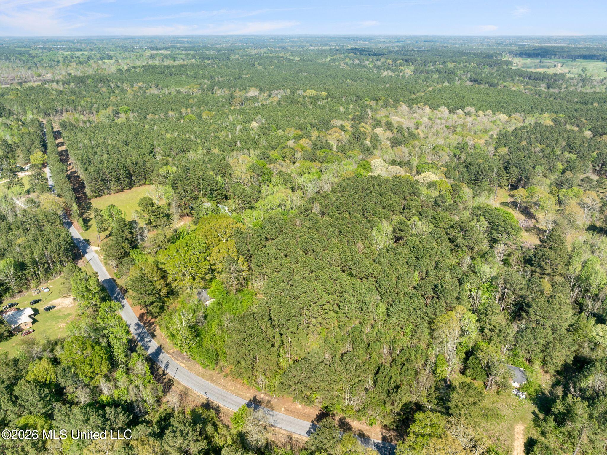 3-acres Will Barber Road Pinola, MS 39149 - Photo 14 of 14 mls_245_Will_Barber_Rd-14