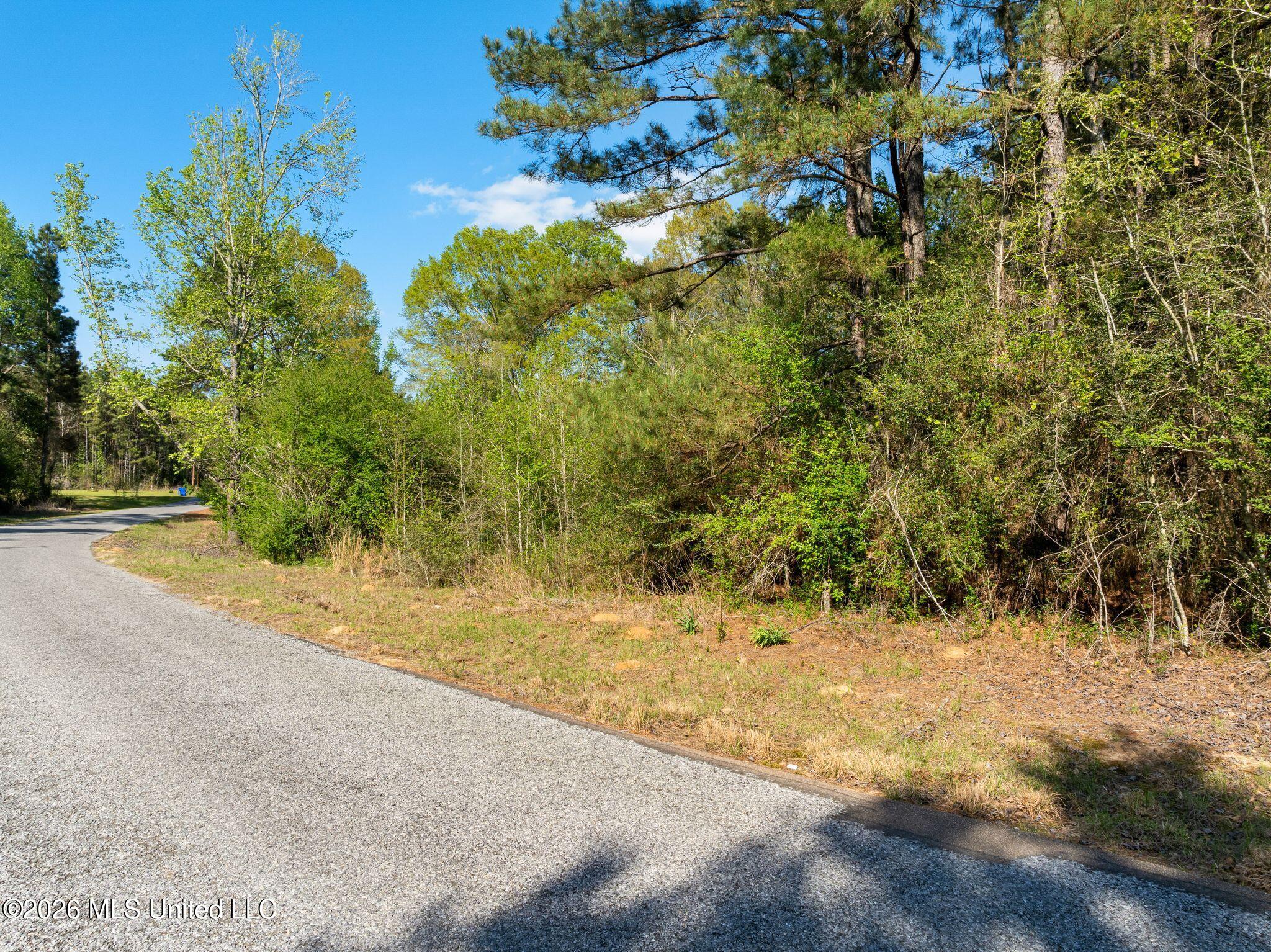 3-acres Will Barber Road Pinola, MS 39149 - Photo 2 of 14 mls_245_Will_Barber_Rd-2