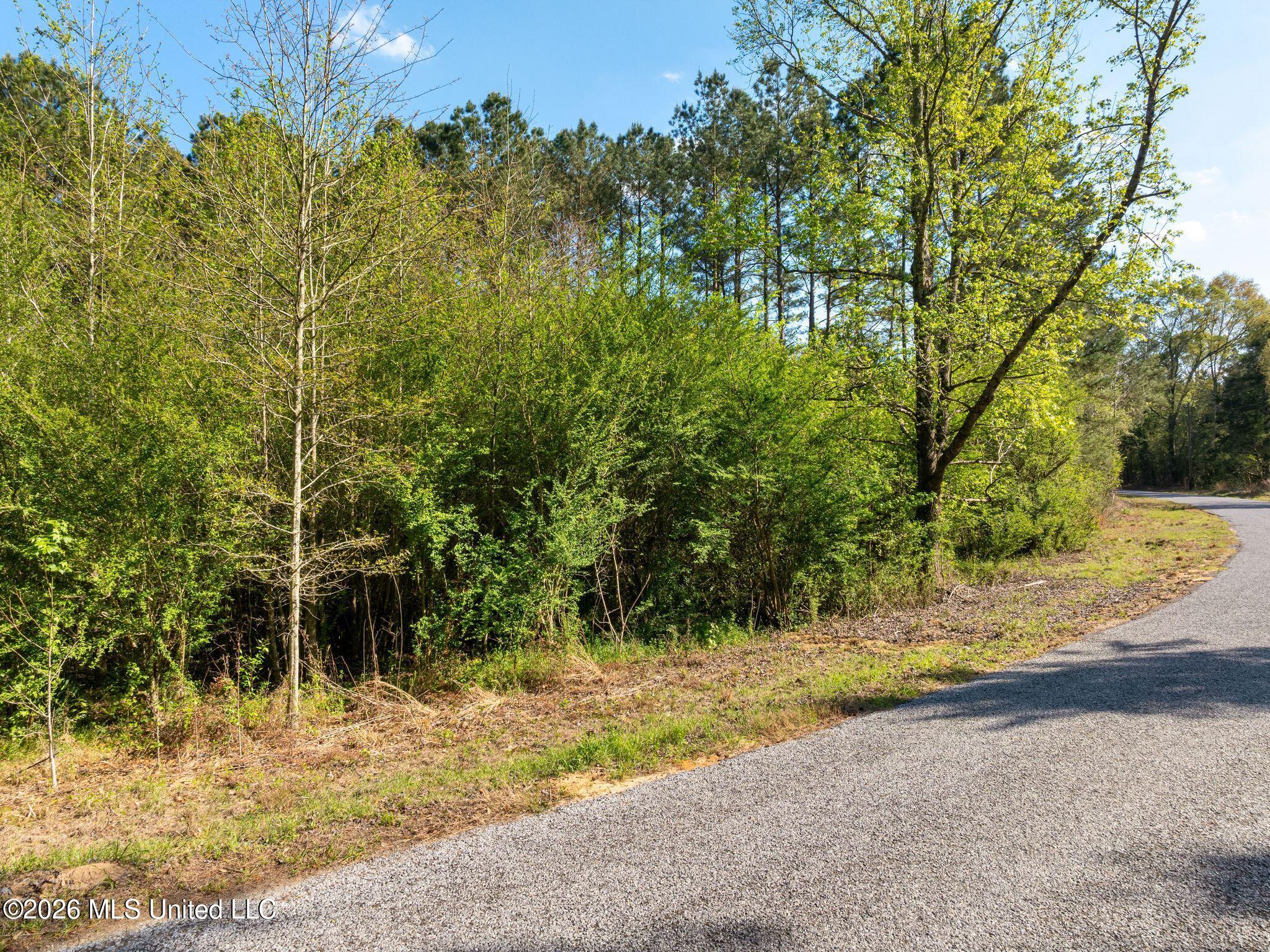 3-acres Will Barber Road Pinola, MS 39149 - Photo 3 of 14 mls_245_Will_Barber_Rd-3