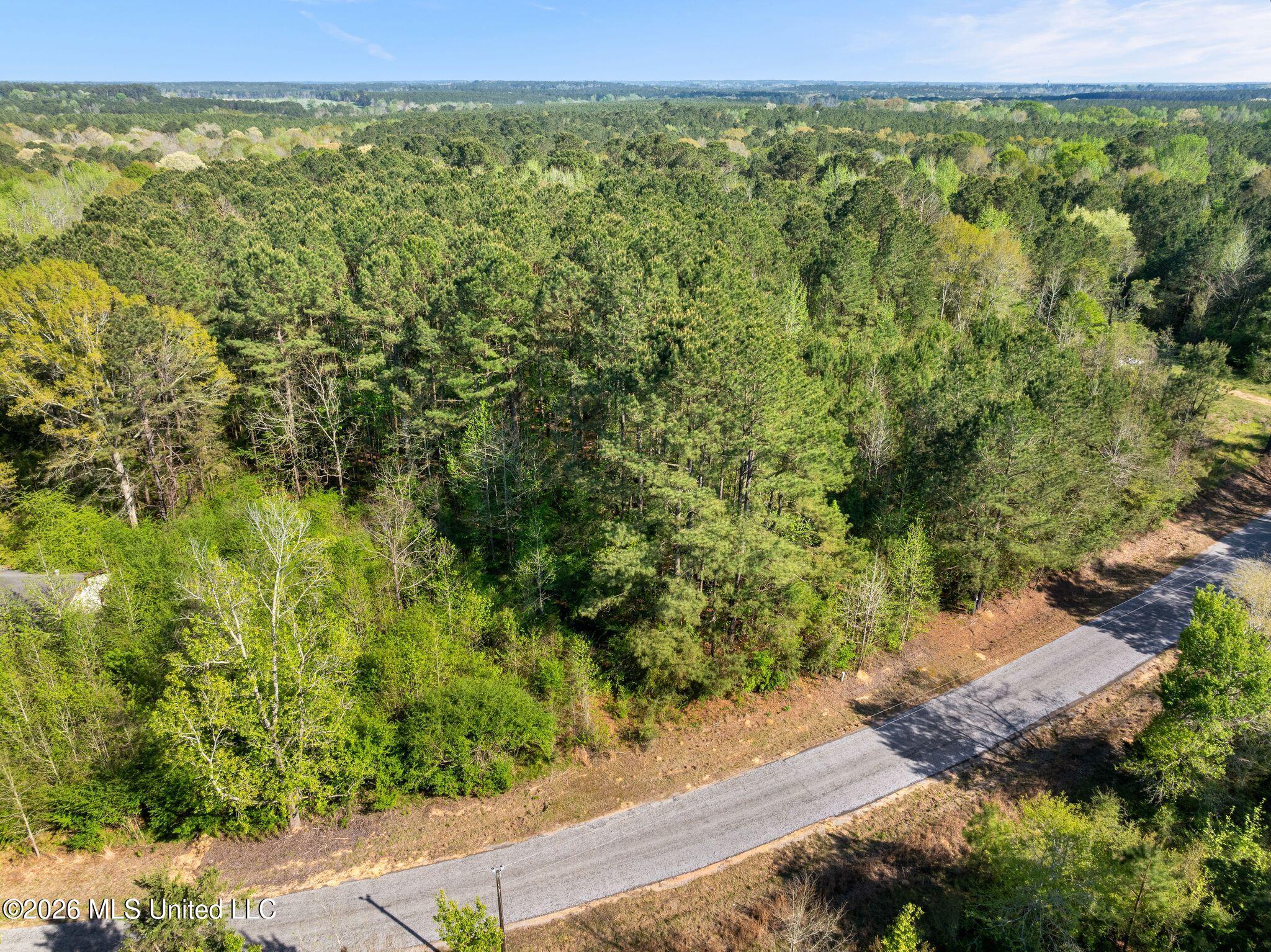 3-acres Will Barber Road Pinola, MS 39149 - Photo 4 of 14 mls_245_Will_Barber_Rd-4
