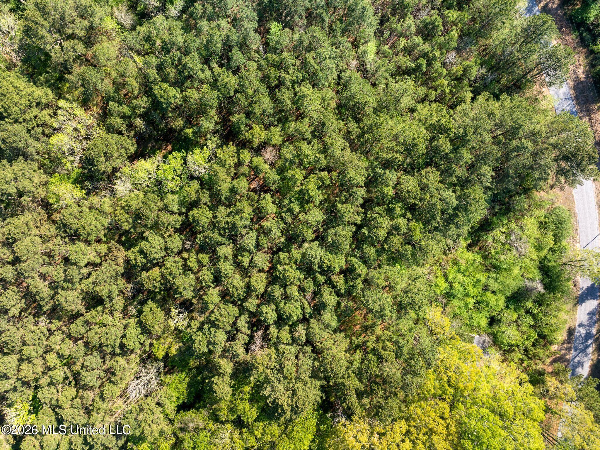 3-acres Will Barber Road Pinola, MS 39149 - Photo 5 of 14 mls_245_Will_Barber_Rd-5