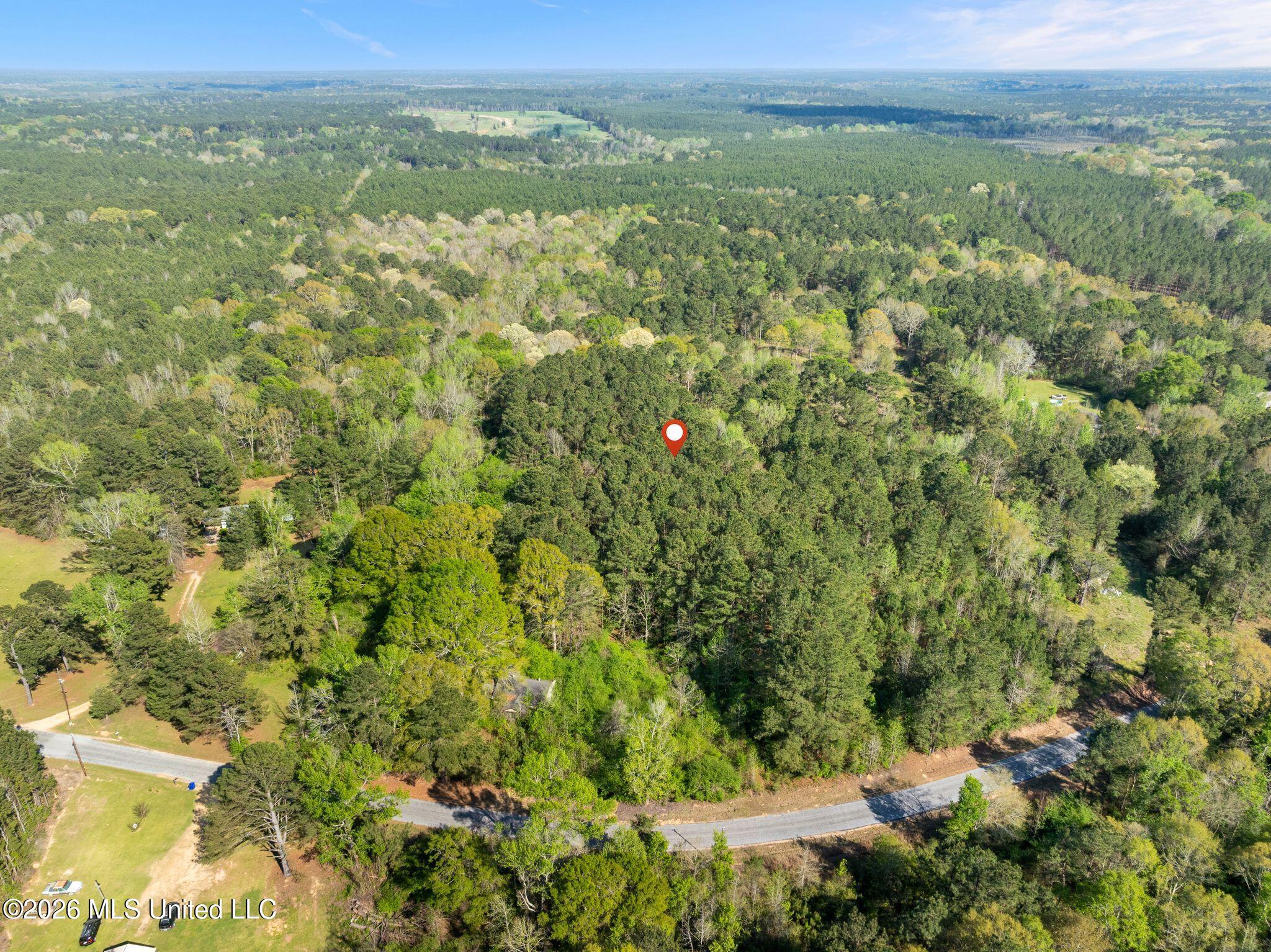 3-acres Will Barber Road Pinola, MS 39149 - Photo 7 of 14 mls_245_Will_Barber_Rd-7