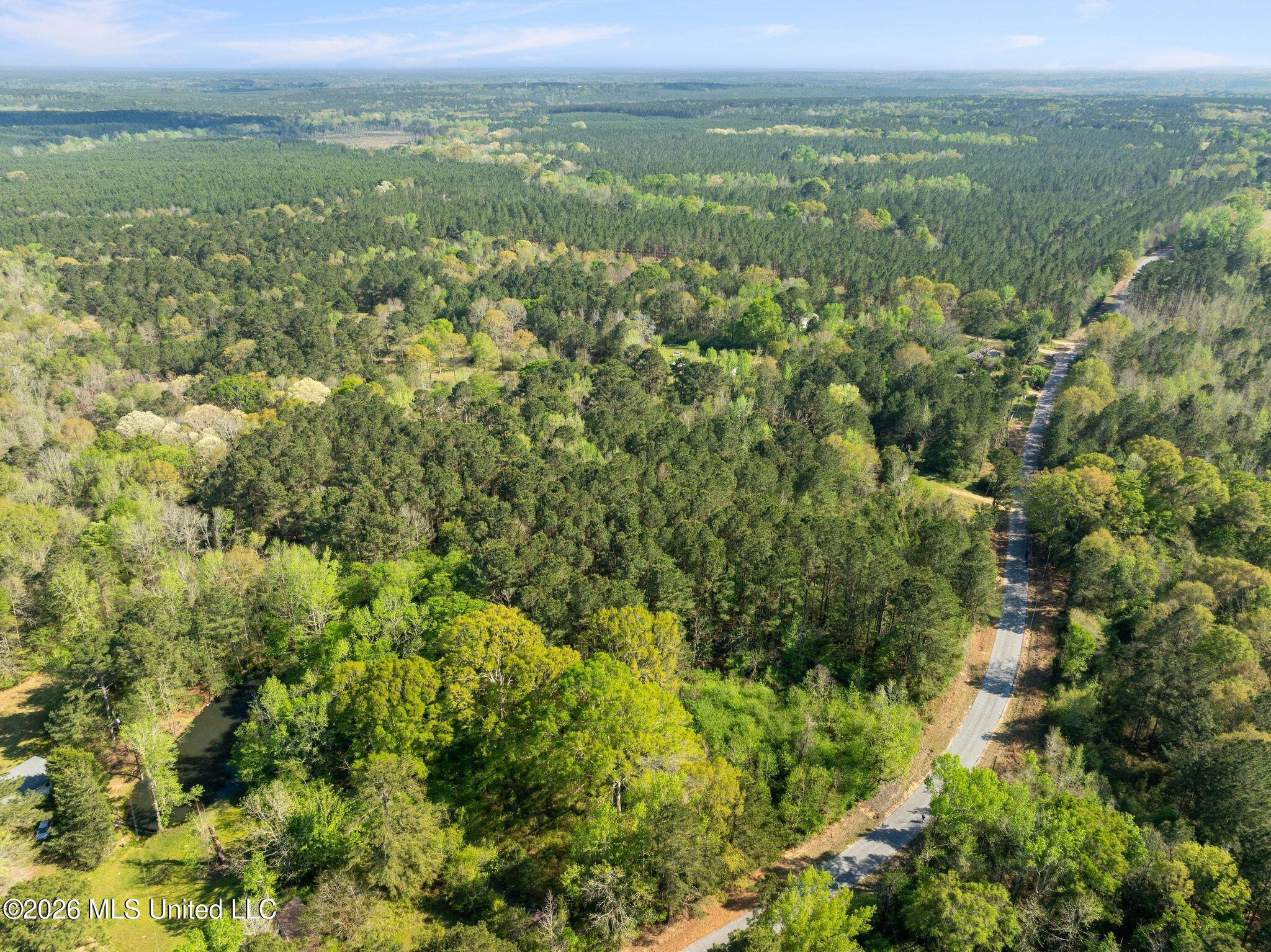 3-acres Will Barber Road Pinola, MS 39149 - Photo 8 of 14 mls_245_Will_Barber_Rd-8